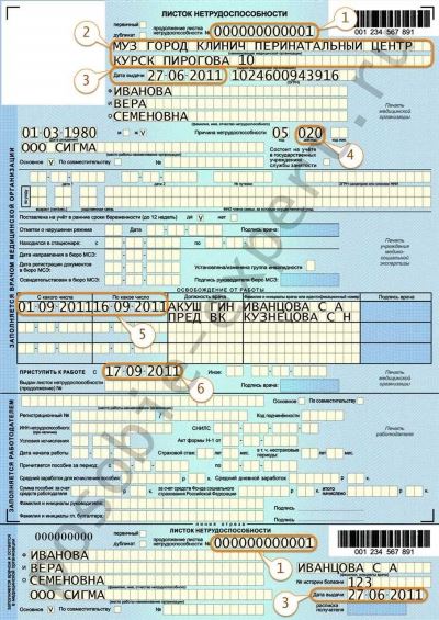Как и когда сдать больничный лист в Фонд социального страхования?