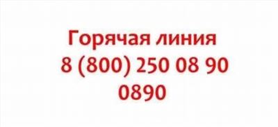 Телефонная линия: говорите с живым человеком и решайте вопросы по телефону