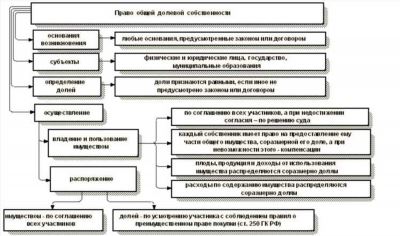 Совместная и долевая собственность: в чем отличия