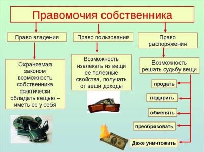 Определение и роль кассационного суда