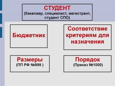 Студентам СФУ предлагается специальная стипендия за востребованную специальность